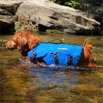 mont-bell 中型犬用ライフジャケット 青 XS mont-bell 中型犬用ライフジャケット 青 XS 楽天市場】モンベル